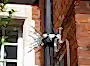 Viper Spike 3 security toppings for drainpipes