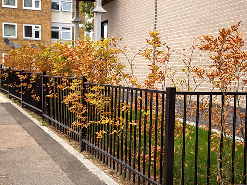 Metal fencing
