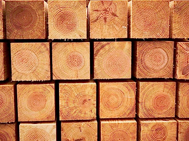 freshly treated timber