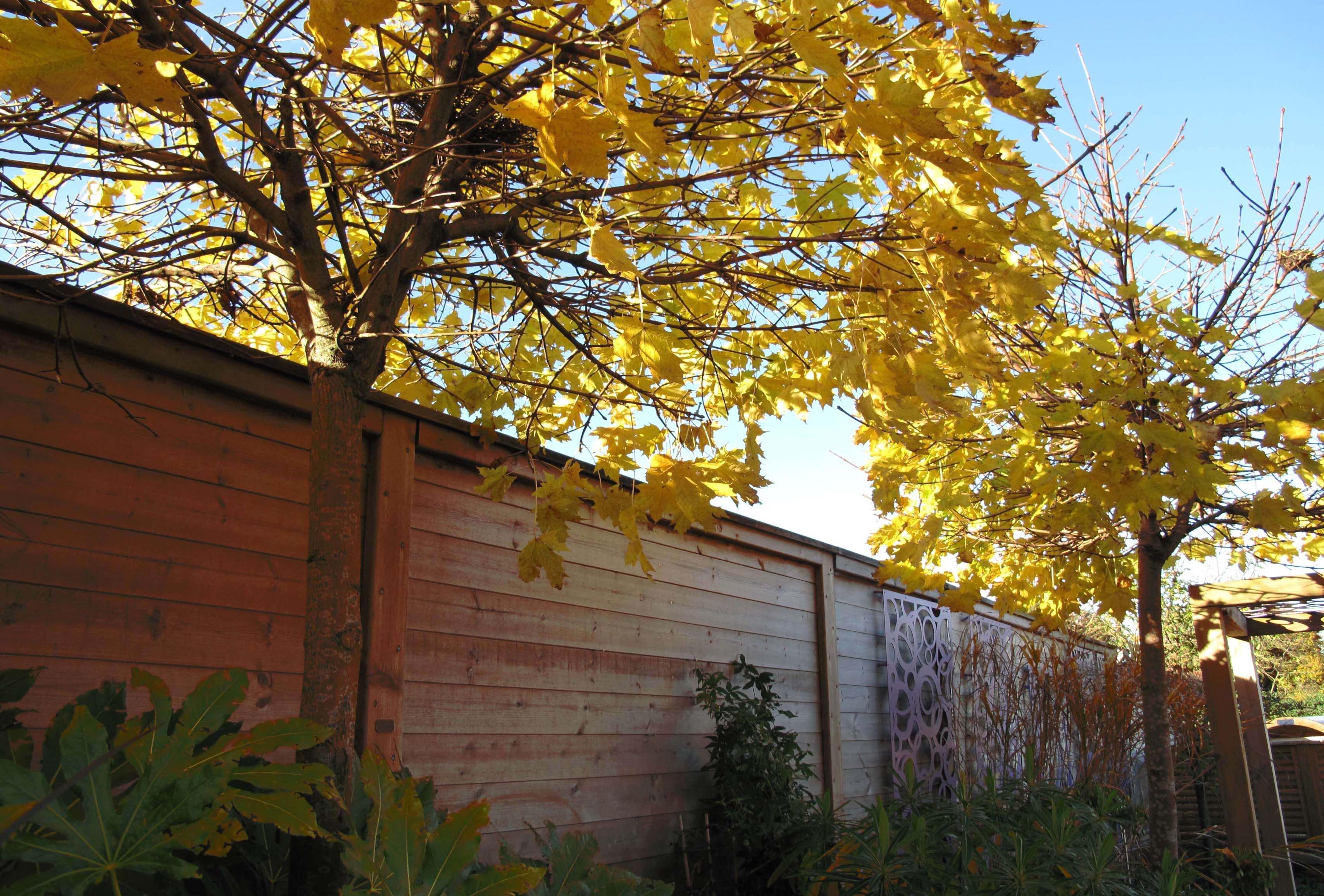 Acoustic fencing