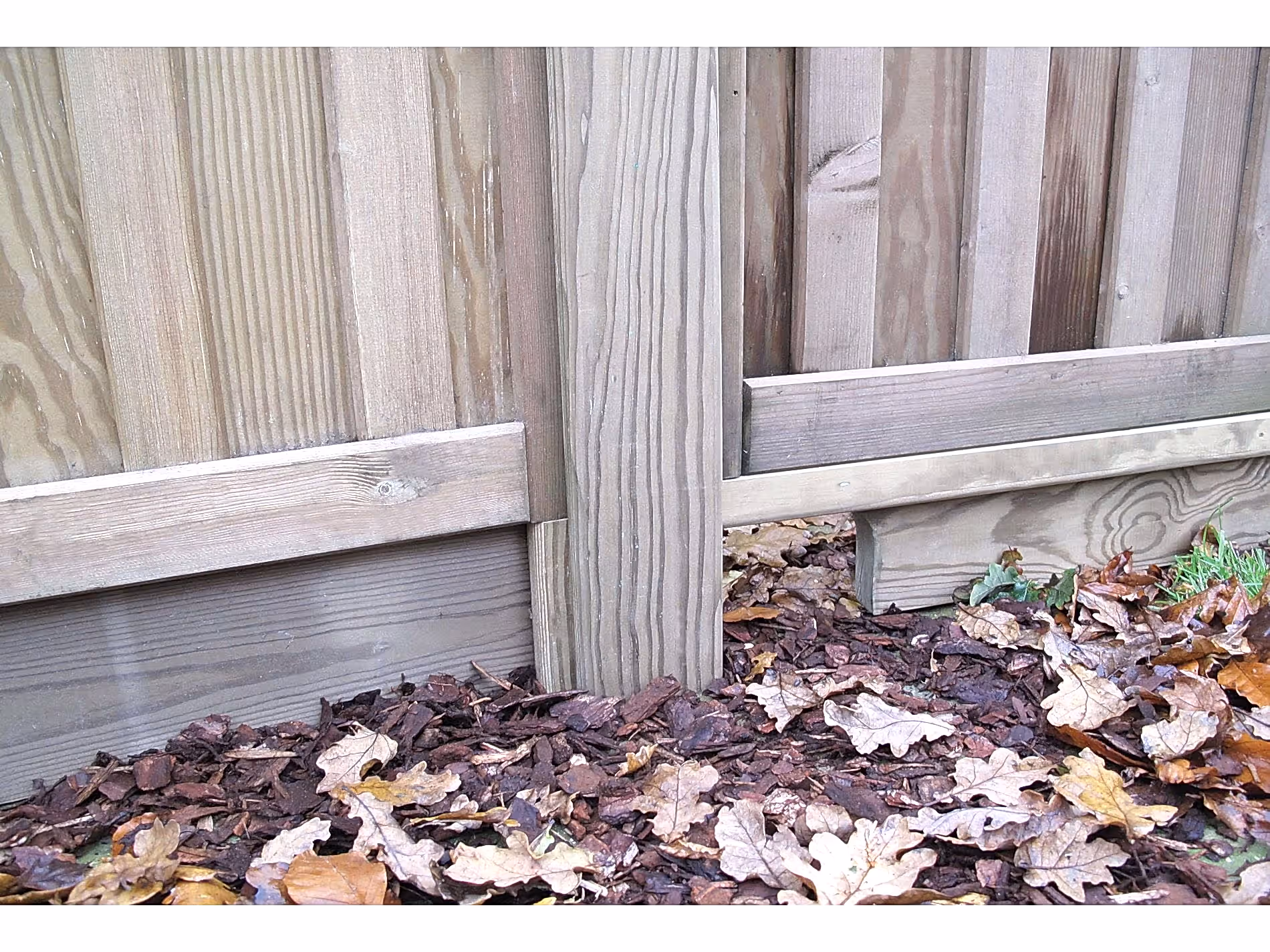 Jacksons hedgehog gravel boards