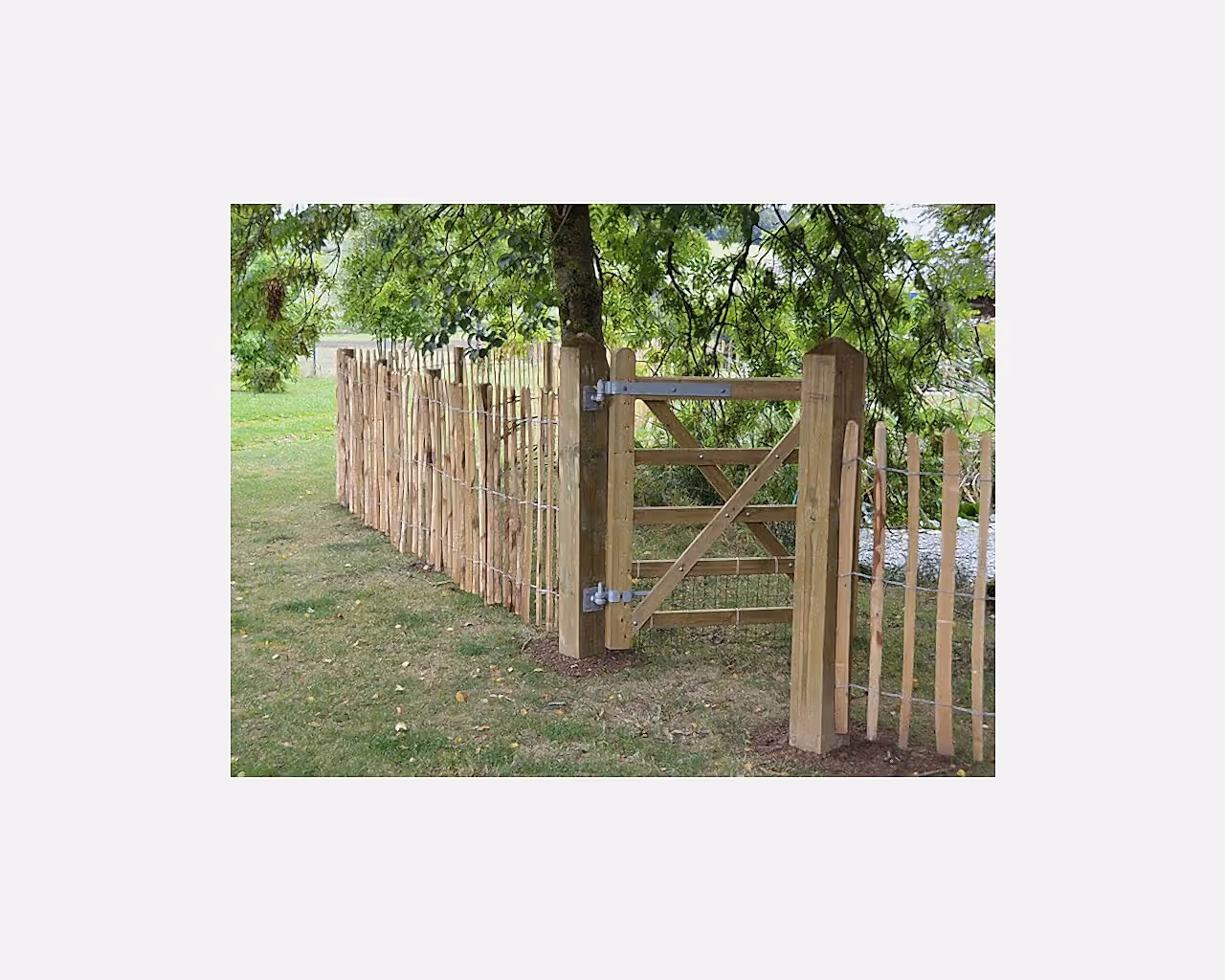 single uni-gate and chestnut fencing