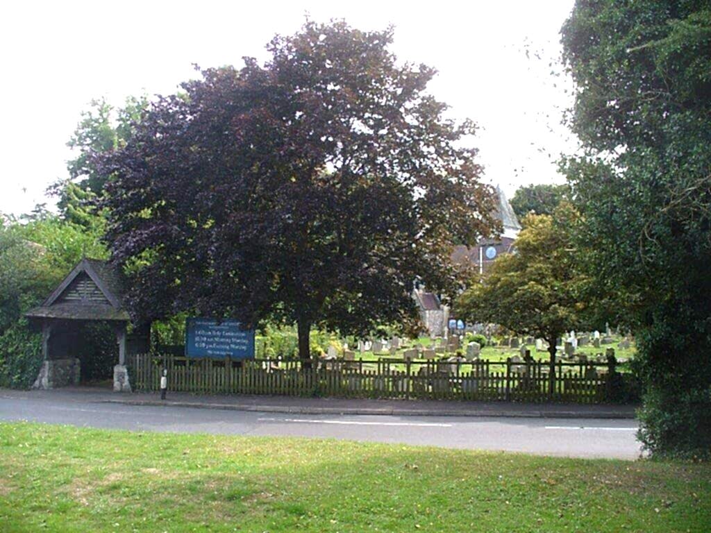 Jacksons timber fencing lasts over 20 years