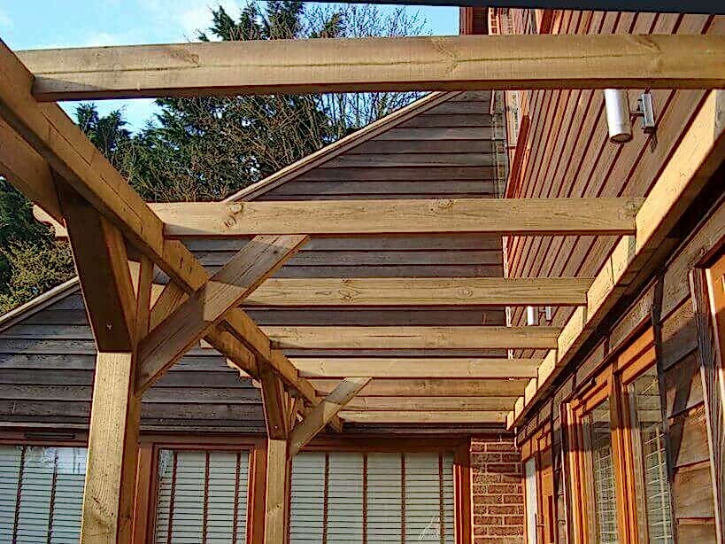 looking up through the pergola