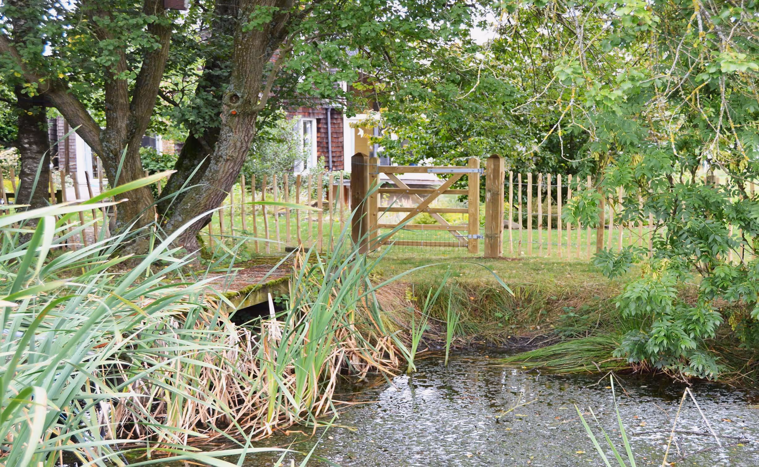 single wooden gate with pond