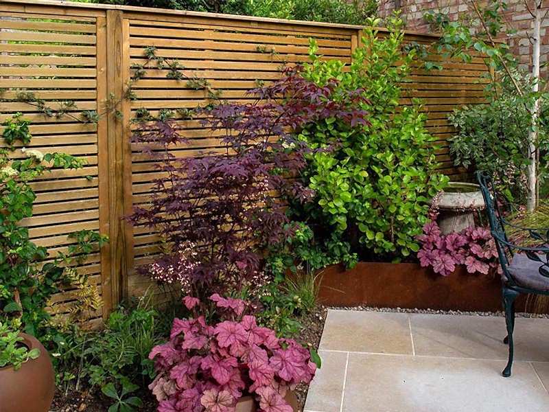 2024 garden trends plants