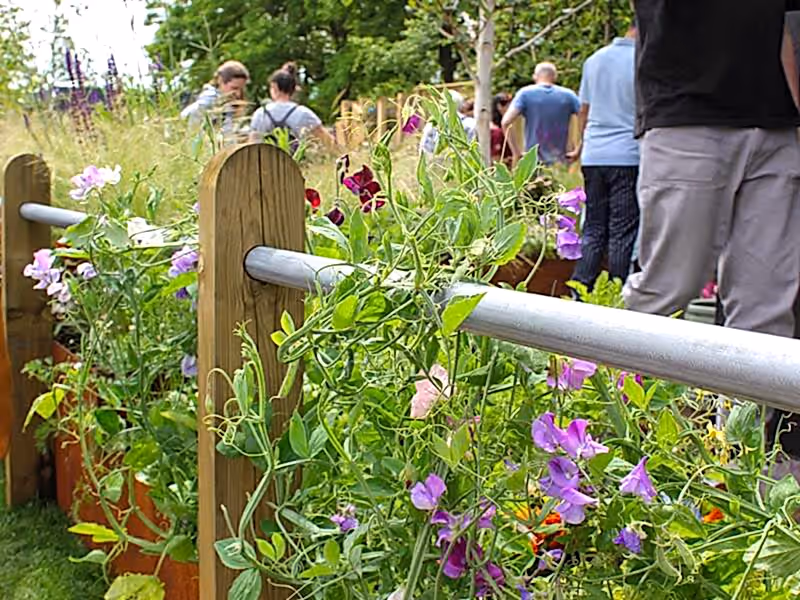 Silver rail fencing