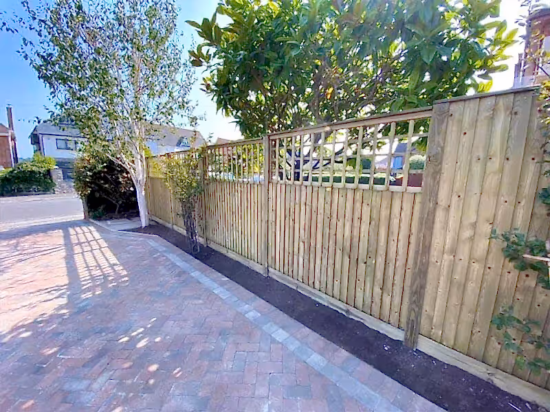 use trellis to be social