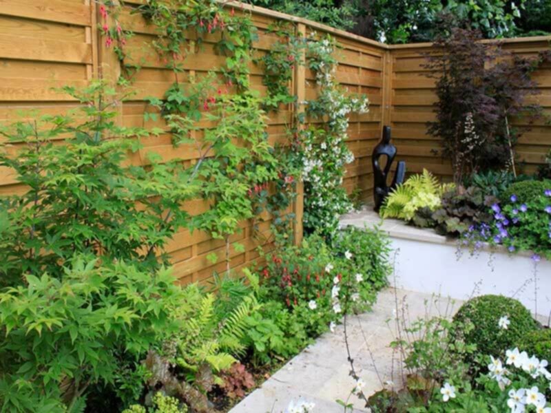 garden screening