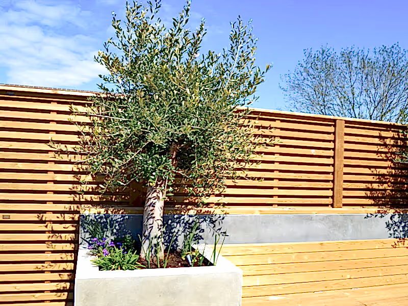 treated timber modern fencing