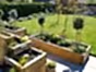 Treated Timber