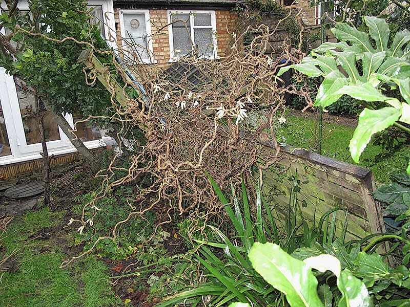 Broken cheap fence
