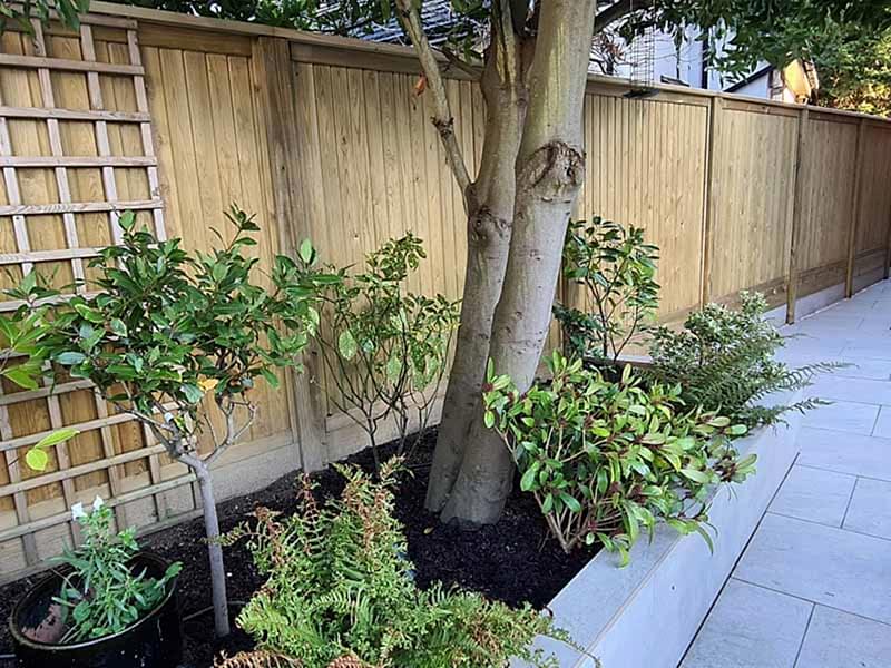 tongue and groove fence