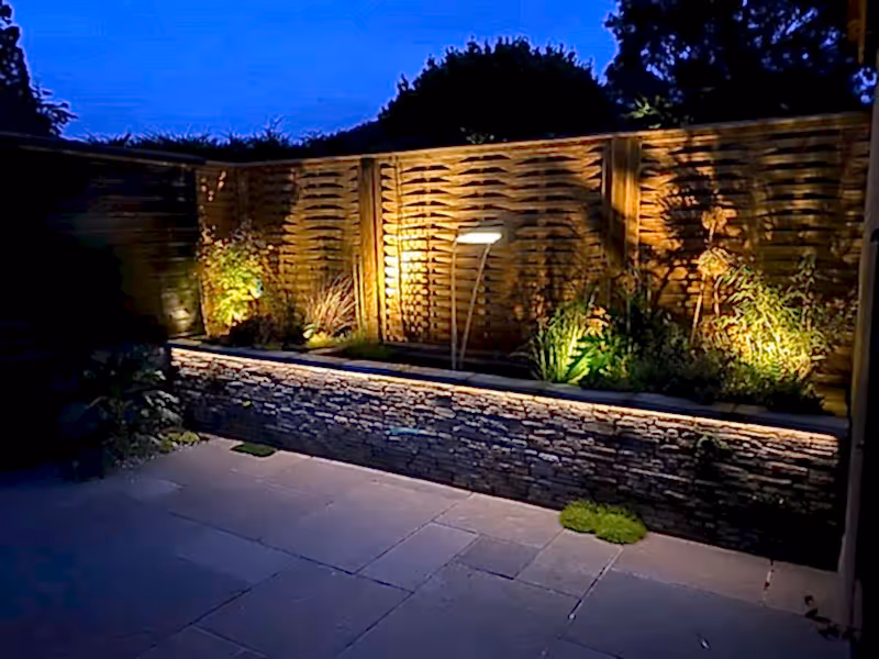 garden at night