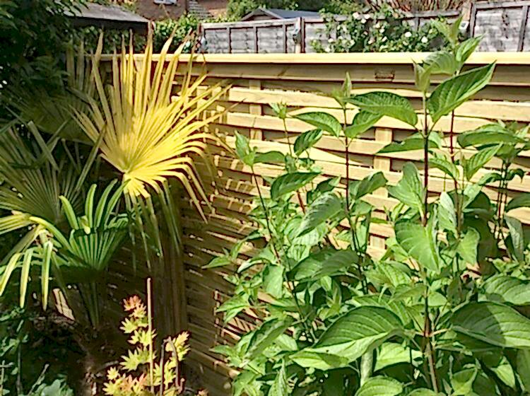 decorative fence panel