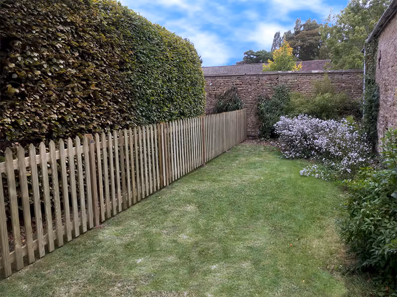 dog fencing ideas