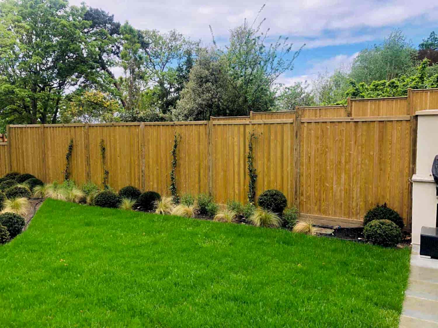 Modern fence panels