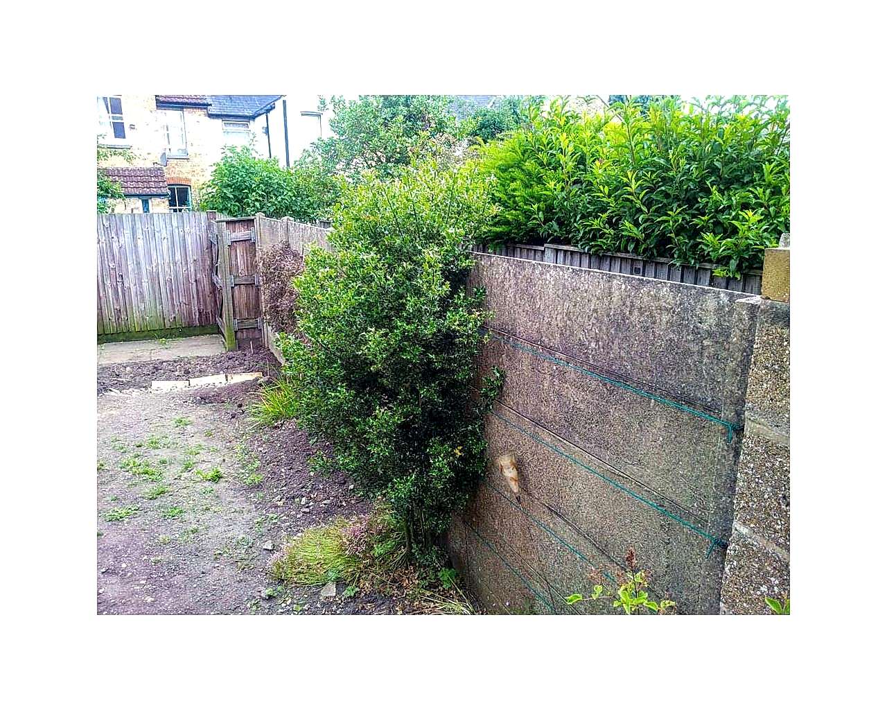 Cleared garden before makeover
