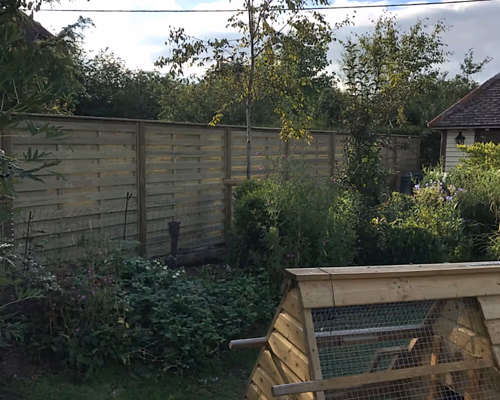 Hit and miss fence panels in garden