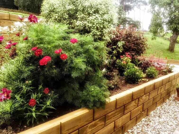 Front Jakwall timber raised bed