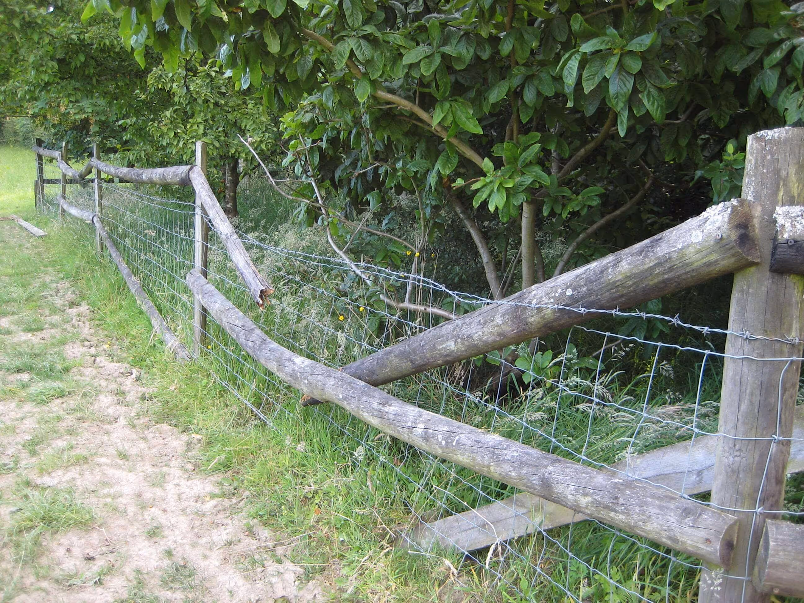 old fence with rotten rails