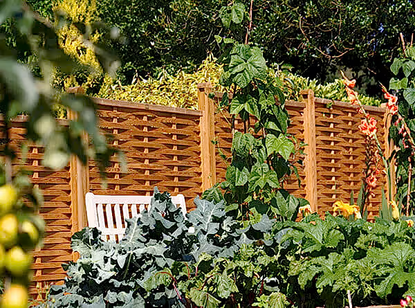 woven fence panels in veg garden