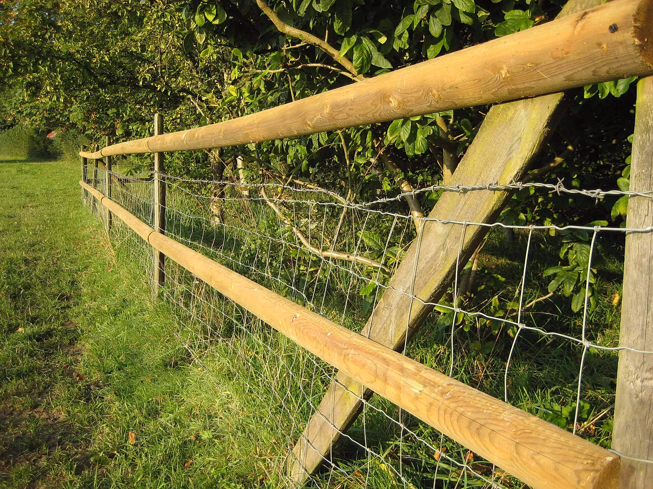 lovely strong new rails