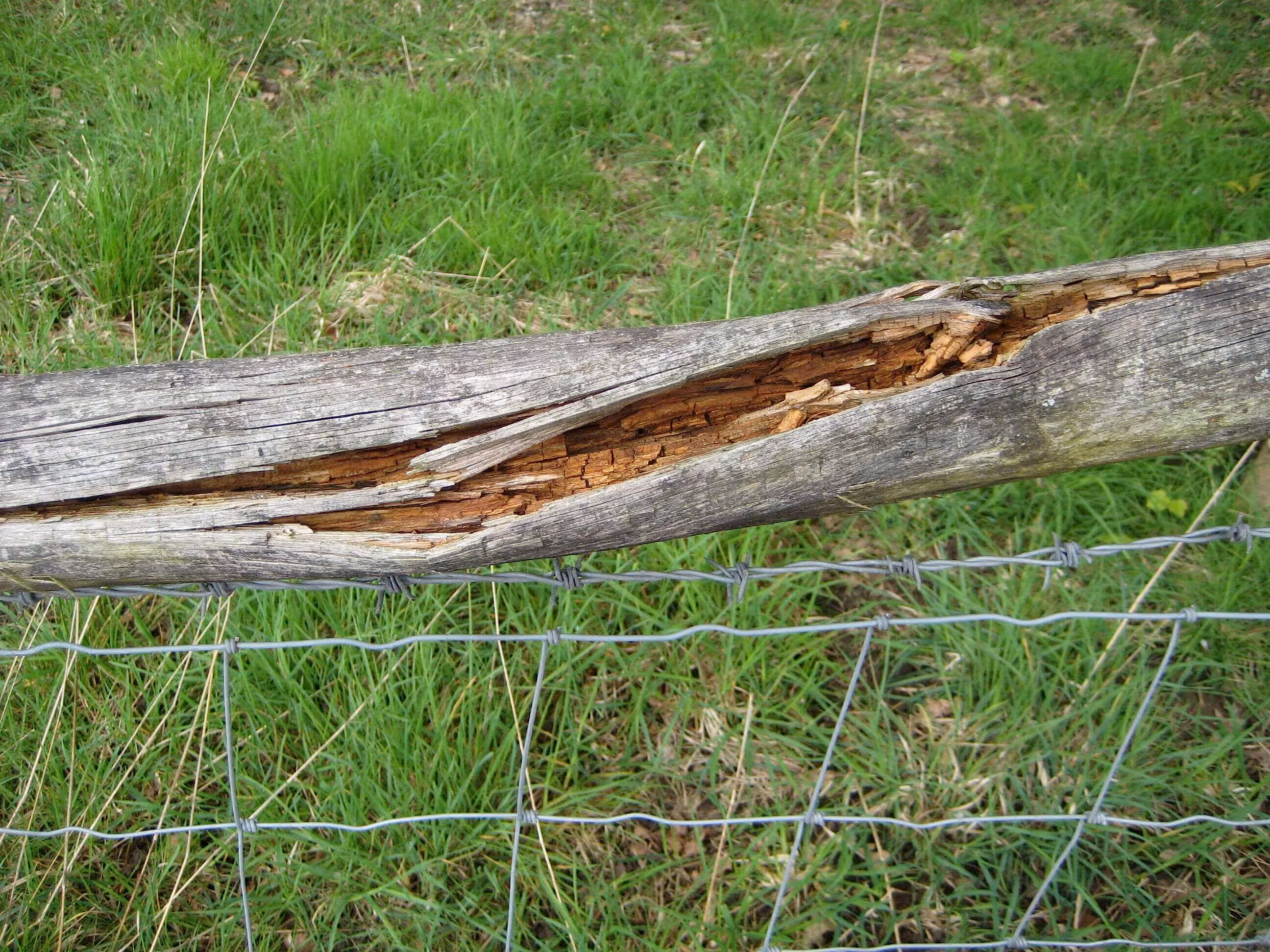 rail rotten in centre