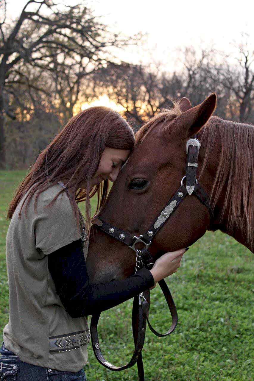 Why horses are good for you