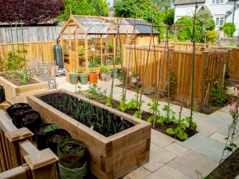 how to remove algae from your fence