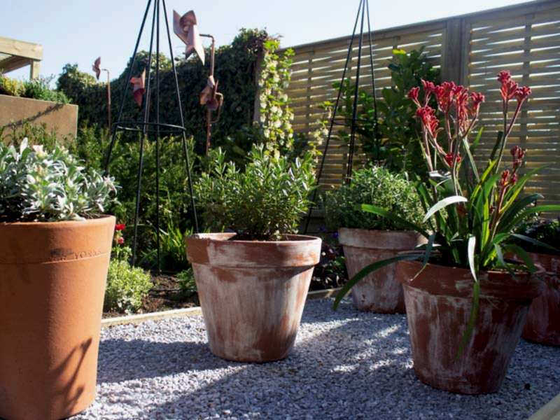 decorative plant pots