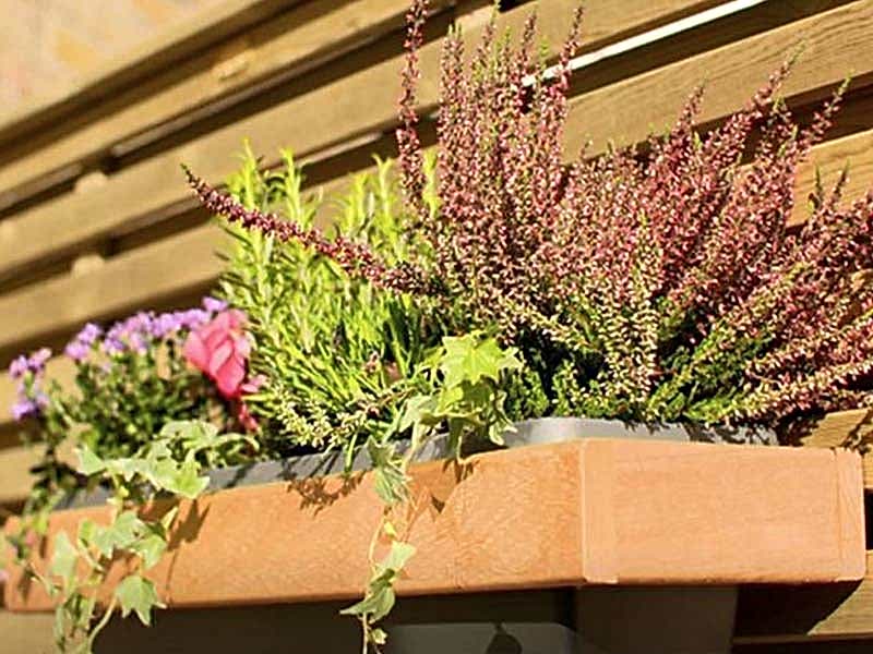 decorative shelves on fencing