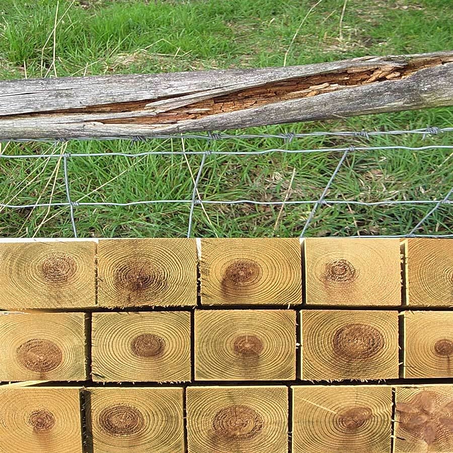 Pressure treated fence post vs rotten fence post