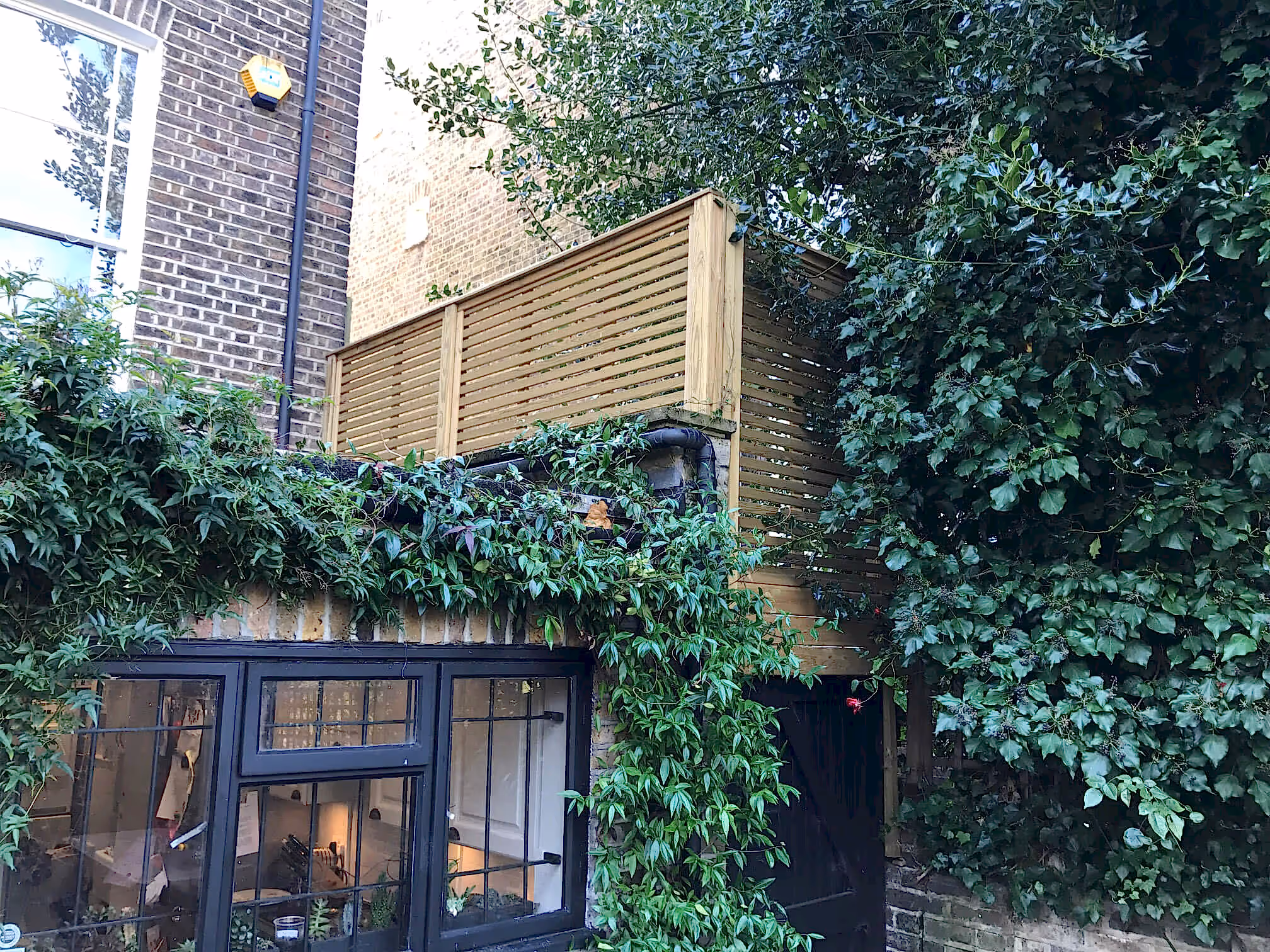 Maximising sunlight in your garden