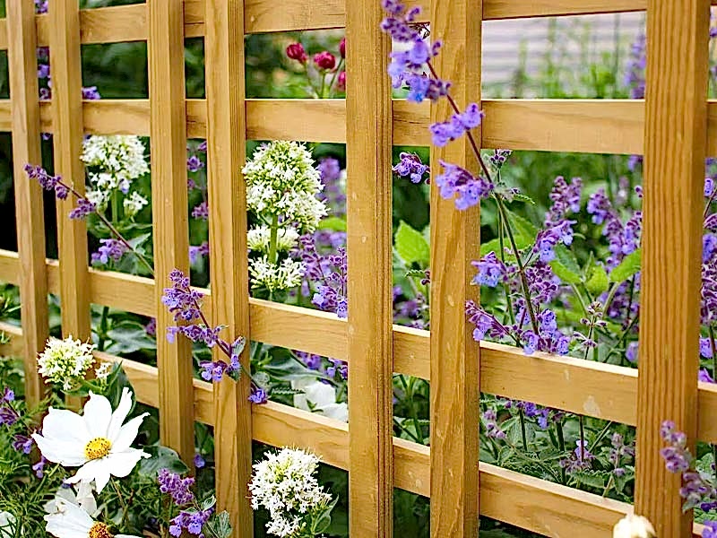 national gardening week 2025