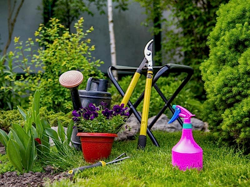 national gardening week new and beginner gardeners