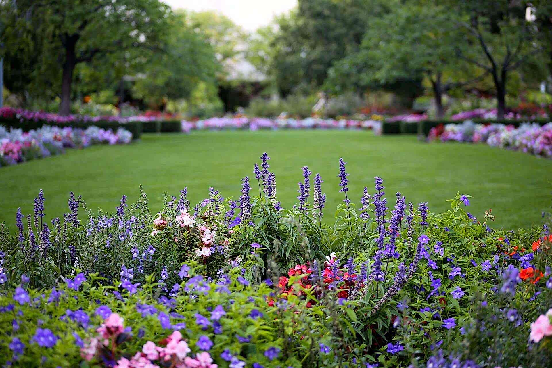 spring garden jobs