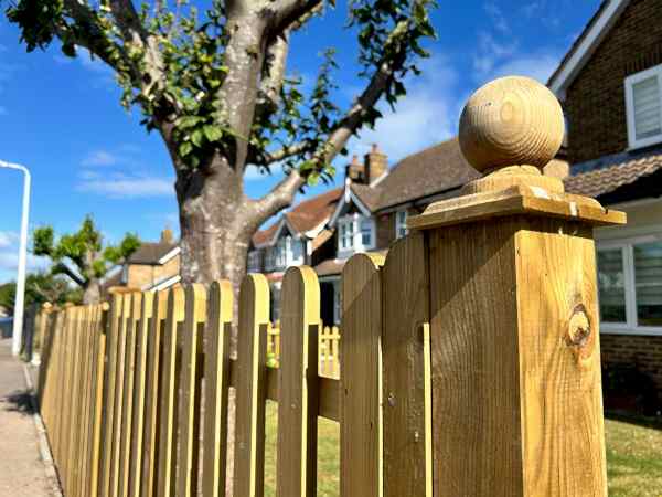 Timber picket fencing