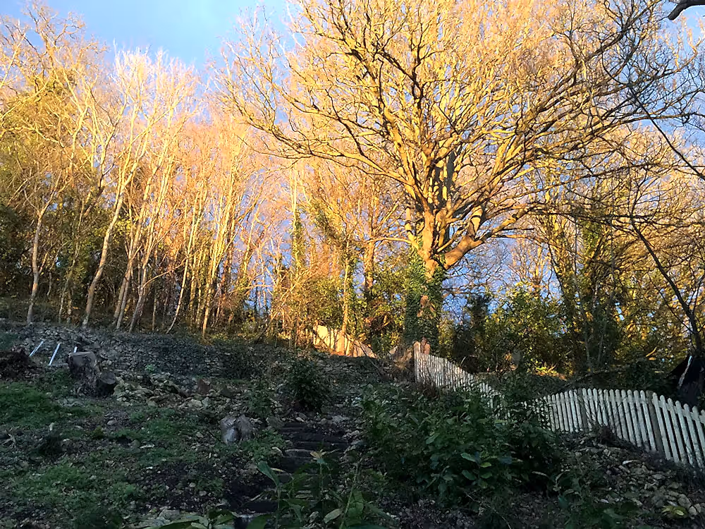 Fence on a hill