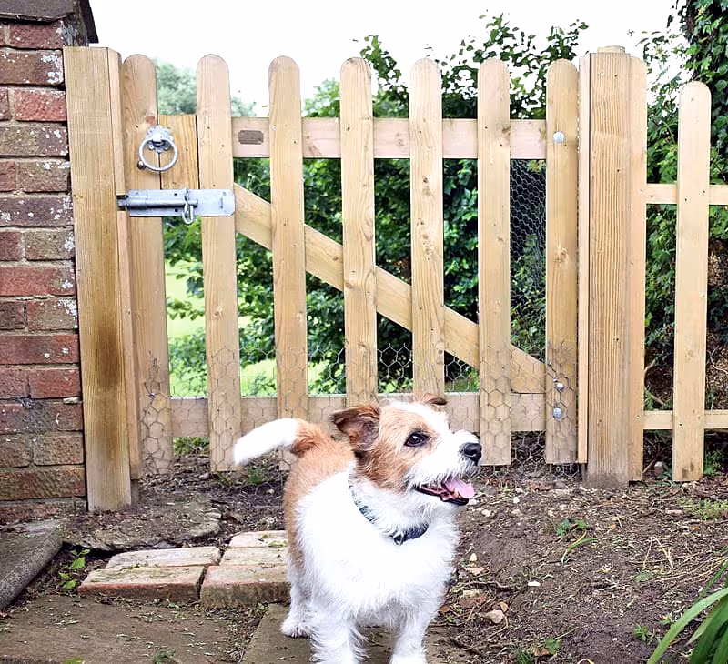 Dog Fencing