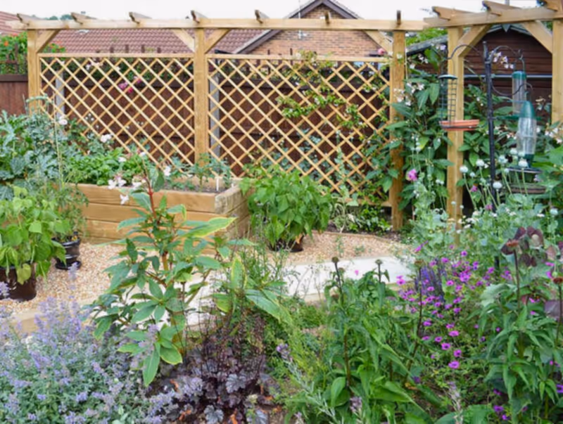 Combine pergolas with trellis to provide support for climbing plants
