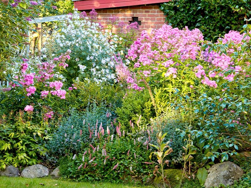 august gardening