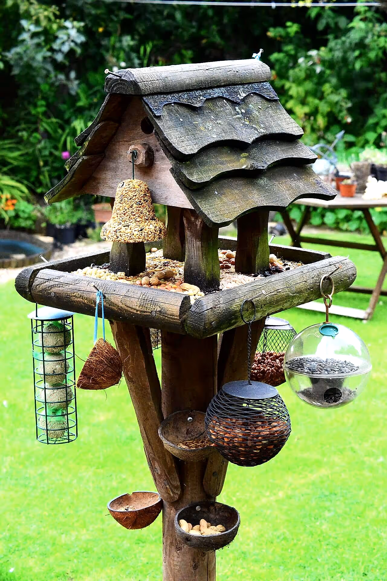 Bird House