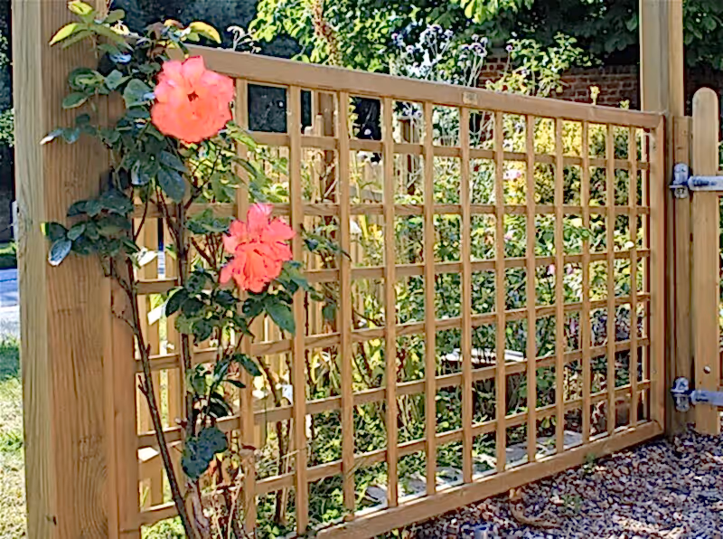Trellis screen