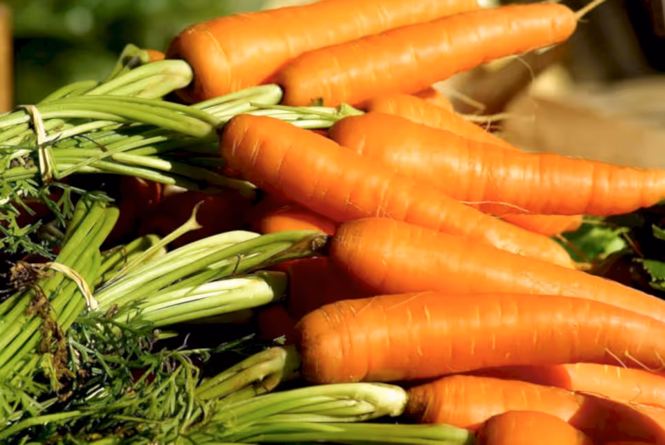vegetables-carrots - Pixabay
