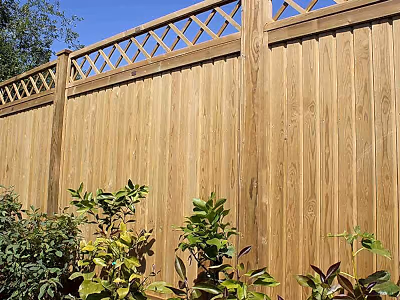 Solid fencing Tongue and Groove
