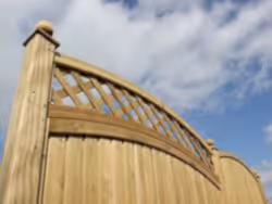 Arch top trellis