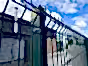 welded mesh fencing