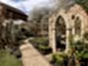Diamond trellis fence panels