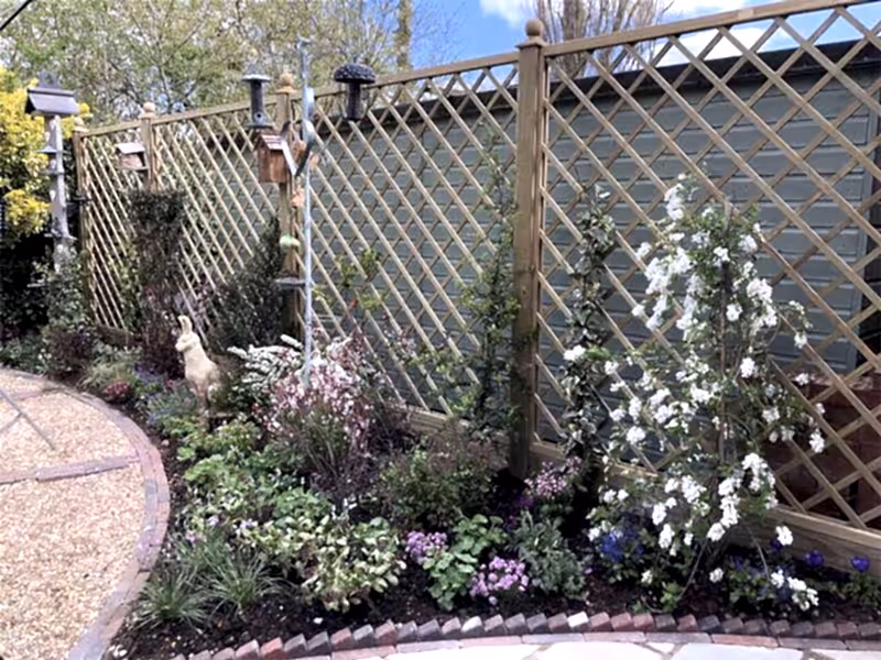 Diamond Trellis Panels Climbing Plants